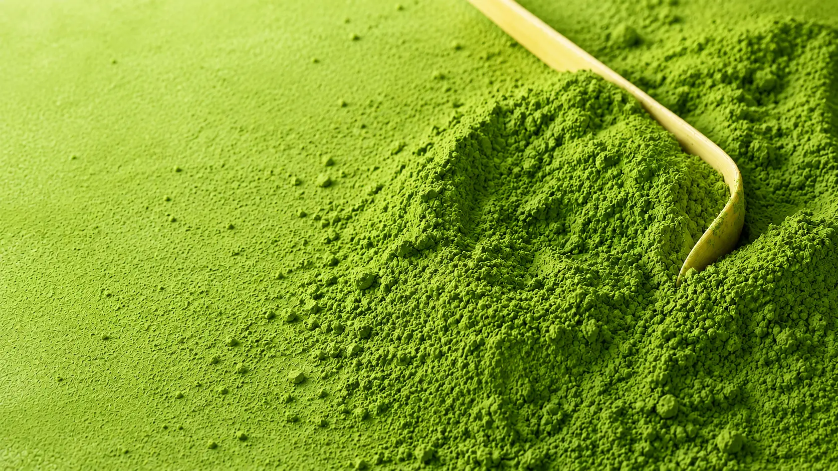 Ceremonial grade matcha powder with a bamboo scoop